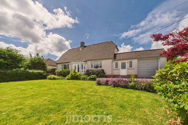 Plas y Fron, Fishguard photo 4