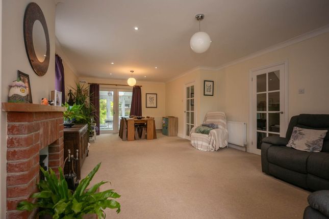 17, Beechwood Avenue, Norwich photo 4