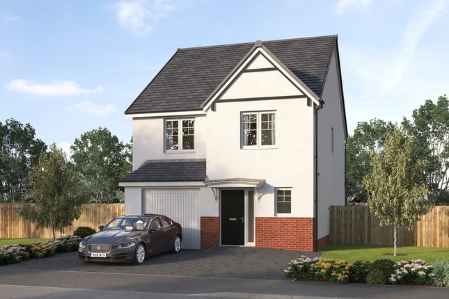Thumbnail Detached house for sale in "The Narsbrook" at Stirling Road, Larbert