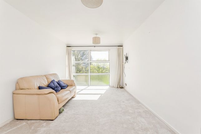 142, Glenwood, Cardiff photo 4