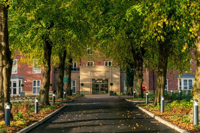 The Tree Lined Driveway
