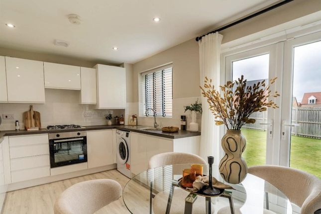 Plot 101 Springfield Meadows, 58, Rosewood Avenue, Bolsover photo 3
