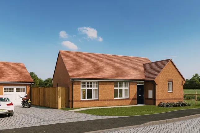 Pobl Living - Bryn Tirion