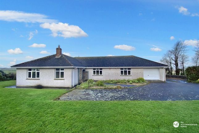 Thumbnail Bungalow to rent in High Lanes, St. Issey, Wadebridge