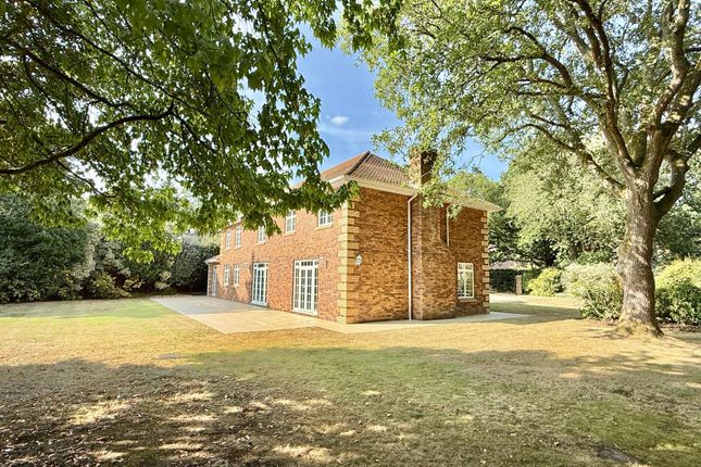 Berkley House, Warren Drive, Ringwood photo 3