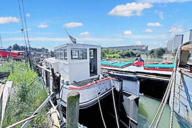 Rita, Otterham Quay Lane, Gillingham photo 2