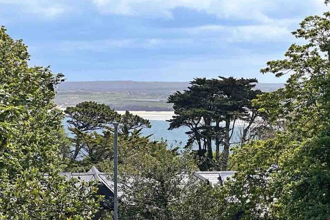 Bay Harbour Lodge, St. Ives photo 2