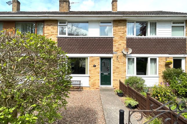 Thumbnail Terraced house for sale in Austin Road, Glastonbury