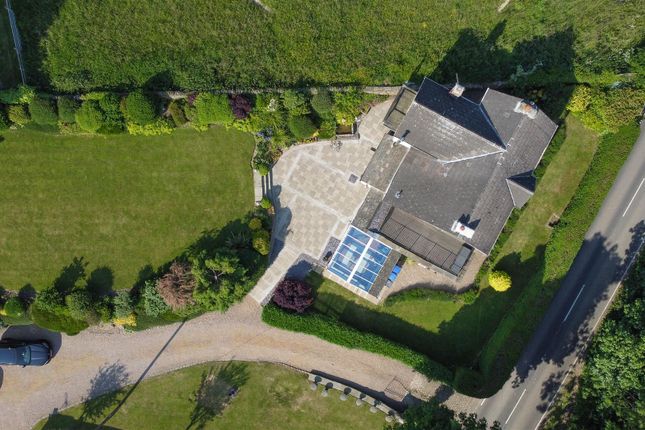 Drone9.Jpg