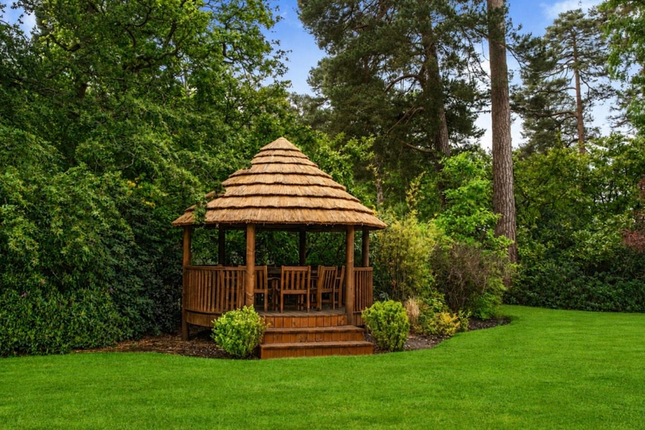 Spring Lodge, Wentworth Estate, Spring Woods, Virginia Water photo 4