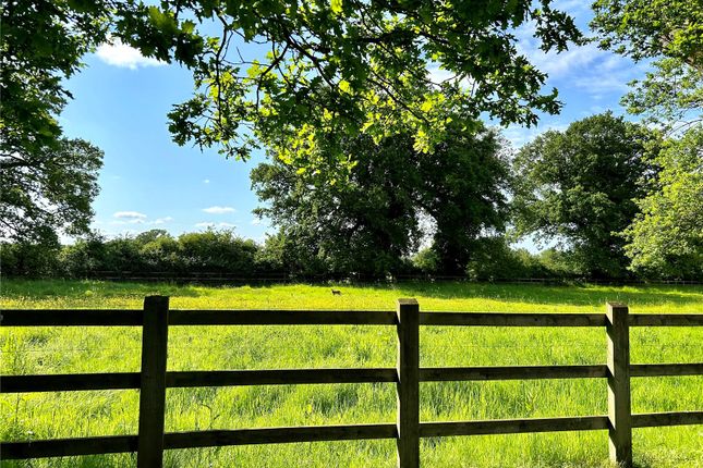 Paddocks