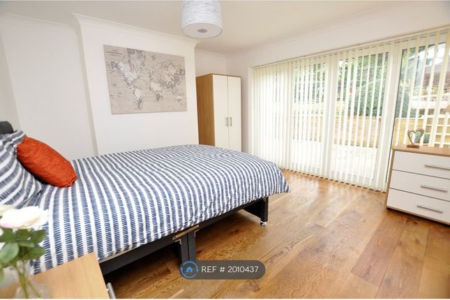 Thumbnail Room to rent in Lawn Lane, Chelmsford