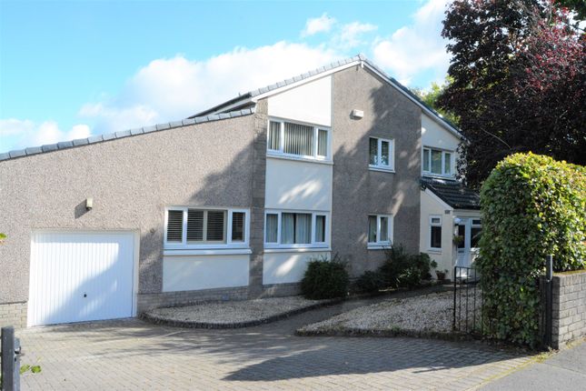 Thumbnail Detached house for sale in Prospecthill Road, Falkirk, Stirlingshire