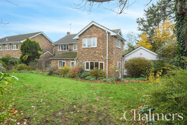 1 Thornton Place, Ingatestone photo 4