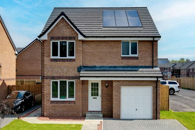 81, Snowdon Terrace, West Kilbride photo 2