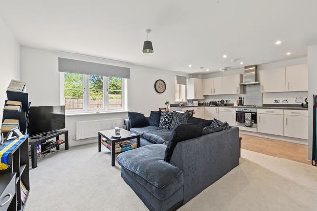 Redgrove Close, Bexhill on Sea photo 4