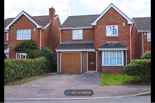 Thumbnail Detached house to rent in Monro Place, Epsom