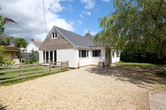 Thumbnail Detached bungalow for sale in Forest Front, Hythe
