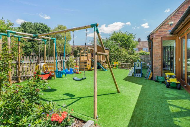 Play Area