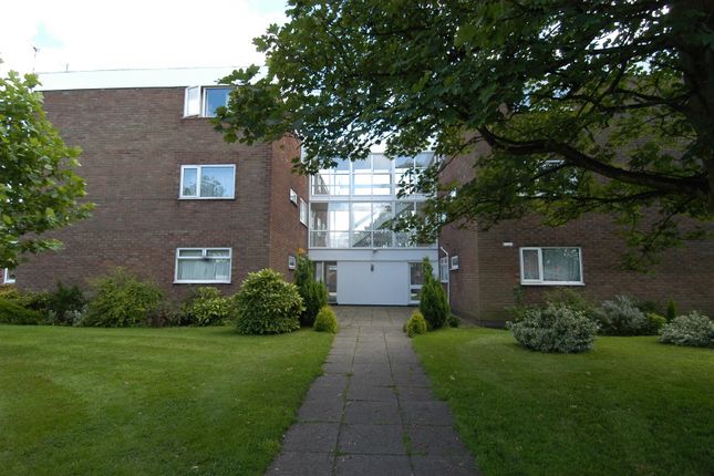 Main Image Front (Main)