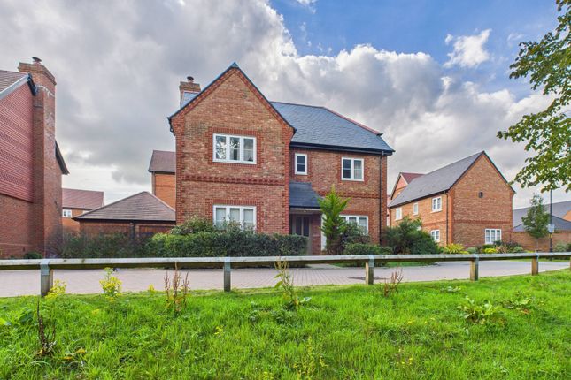 Cam02136G0-Pr0473-Still005