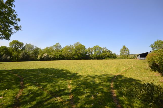 Paddock Land