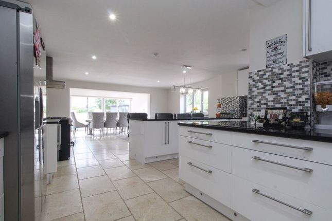Kitchen/Family Room
