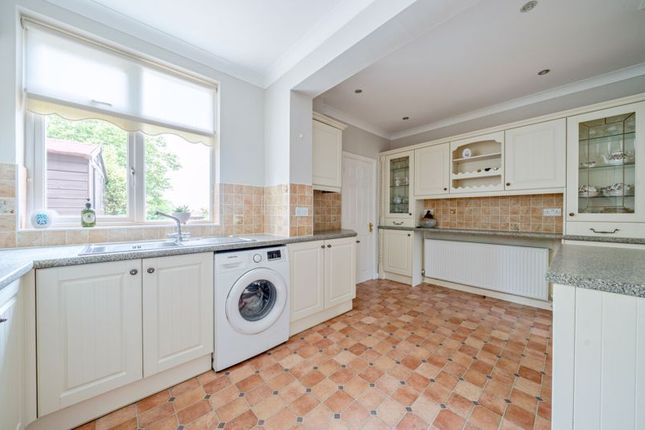 Kitchen Angle 3