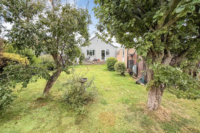 Rear Gardens