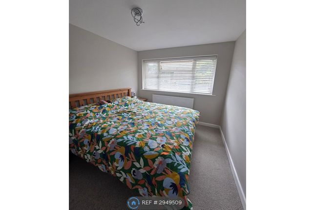 Alpine Close, Southampton photo 4