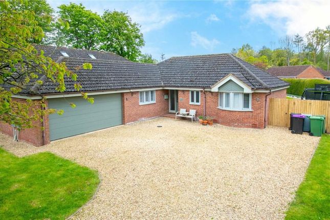 Thumbnail Detached house for sale in Beech Avenue, Bourne
