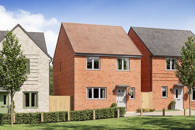Detached house for sale in "The Whitley" at Fitzhugh Rise, Wellingborough