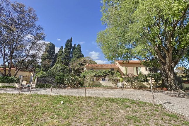 Thumbnail Property for sale in Villelongue-De-La-Salanque, Languedoc-Roussillon, 66, France