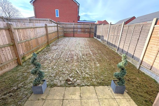 Garden 1