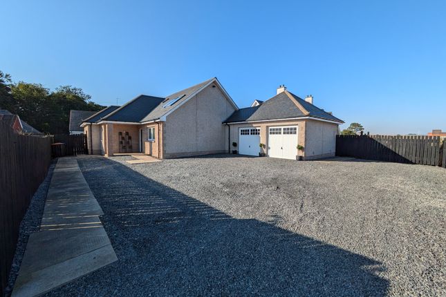 Thumbnail Detached house for sale in Beach Road, St Cyrus