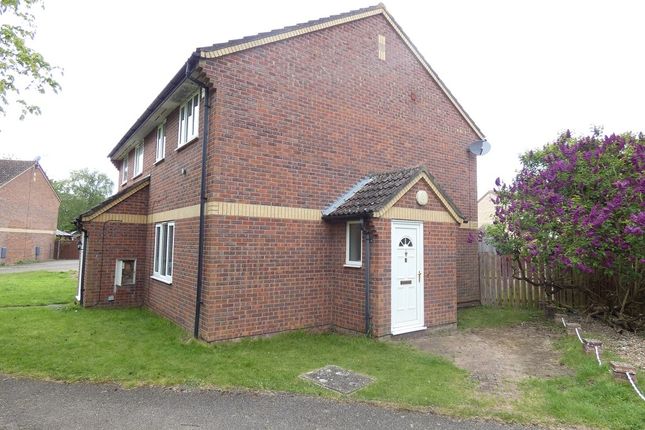 Thumbnail Semi-detached house to rent in Primrose Close, Thetford
