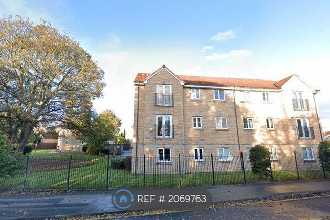 Thumbnail Flat to rent in Elderberry Close, Scholes, Rotherham