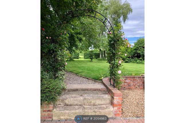 Detached house to rent in Church Street, Whixley