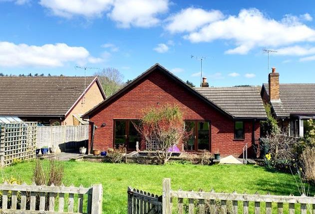 Detached bungalow for sale in Norton, Presteigne, Powys