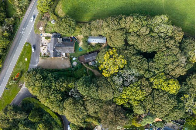 Habititabities, Narberth Road, Tenby photo 4