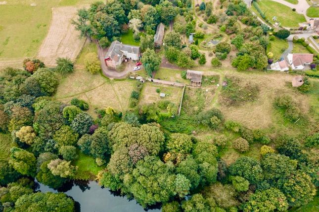 Aerial View &amp; Lake
