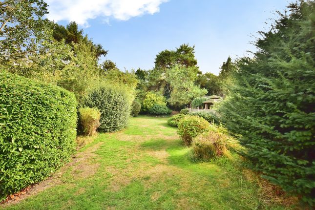 Square Hill Road, Kent photo 4