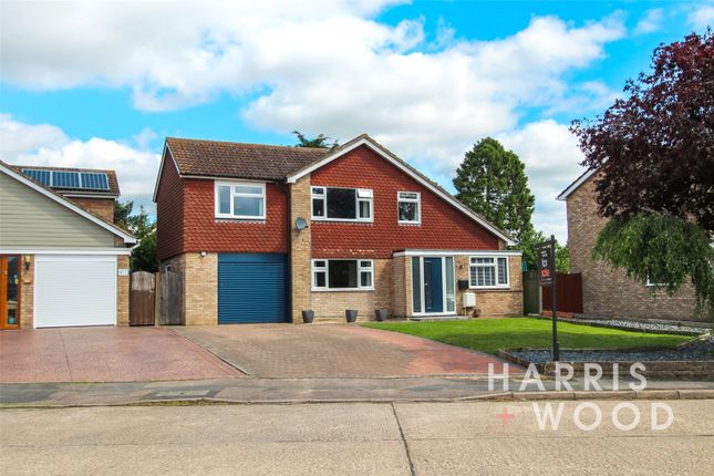 Thumbnail Detached house for sale in Mumford Road, West Bergholt, Colchester