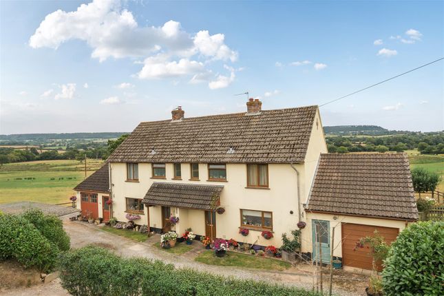 Page 4 Right Bottom Small 1336545-1-68A33d69Bb7A7.