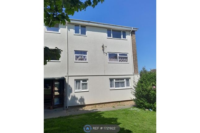 Thumbnail Flat to rent in Peregrine Close, Clacton-On-Sea