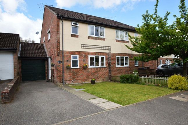 Thumbnail Semi-detached house to rent in Sherwood Close, Liss
