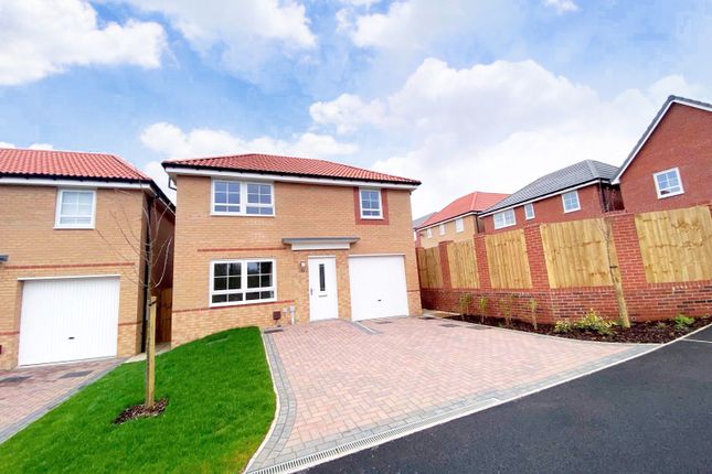 Thumbnail Property to rent in Thornbury Gardens, Dinnington, Sheffield