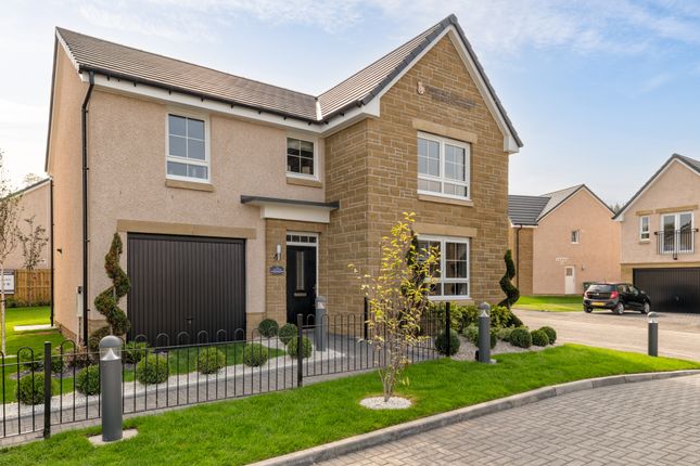 Detached house for sale in "Falkland" at Citizen Jaffray Court, Cambusbarron, Stirling