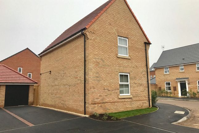 Detached house to rent in Red Admiral Road, Gateford, Worksop