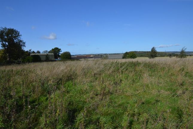 Land for sale in Wyck Lane, East Worldham, Alton, Hampshire